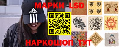 прущие грибы Камышлов